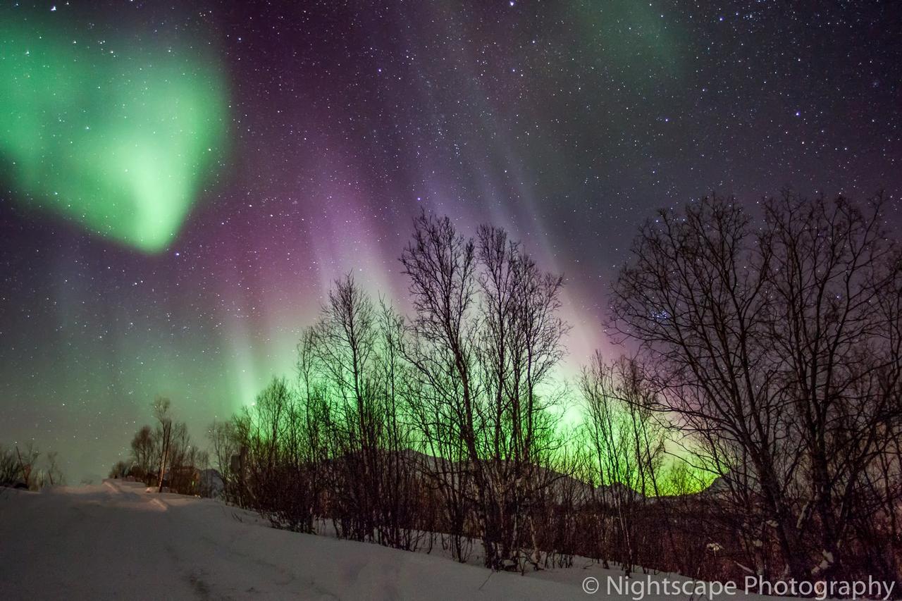 Aurora View Cabin Lyngseidet المظهر الخارجي الصورة