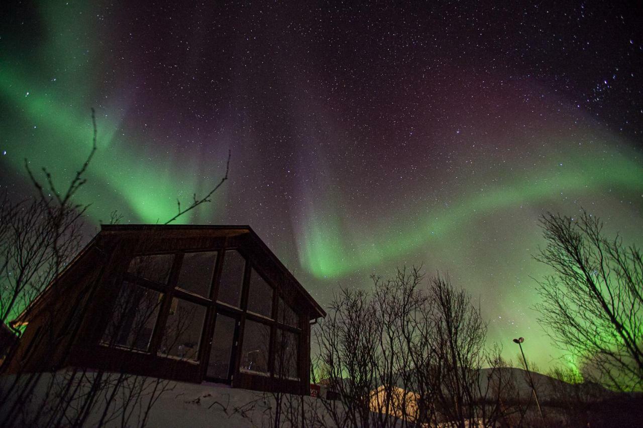 Aurora View Cabin Lyngseidet المظهر الخارجي الصورة