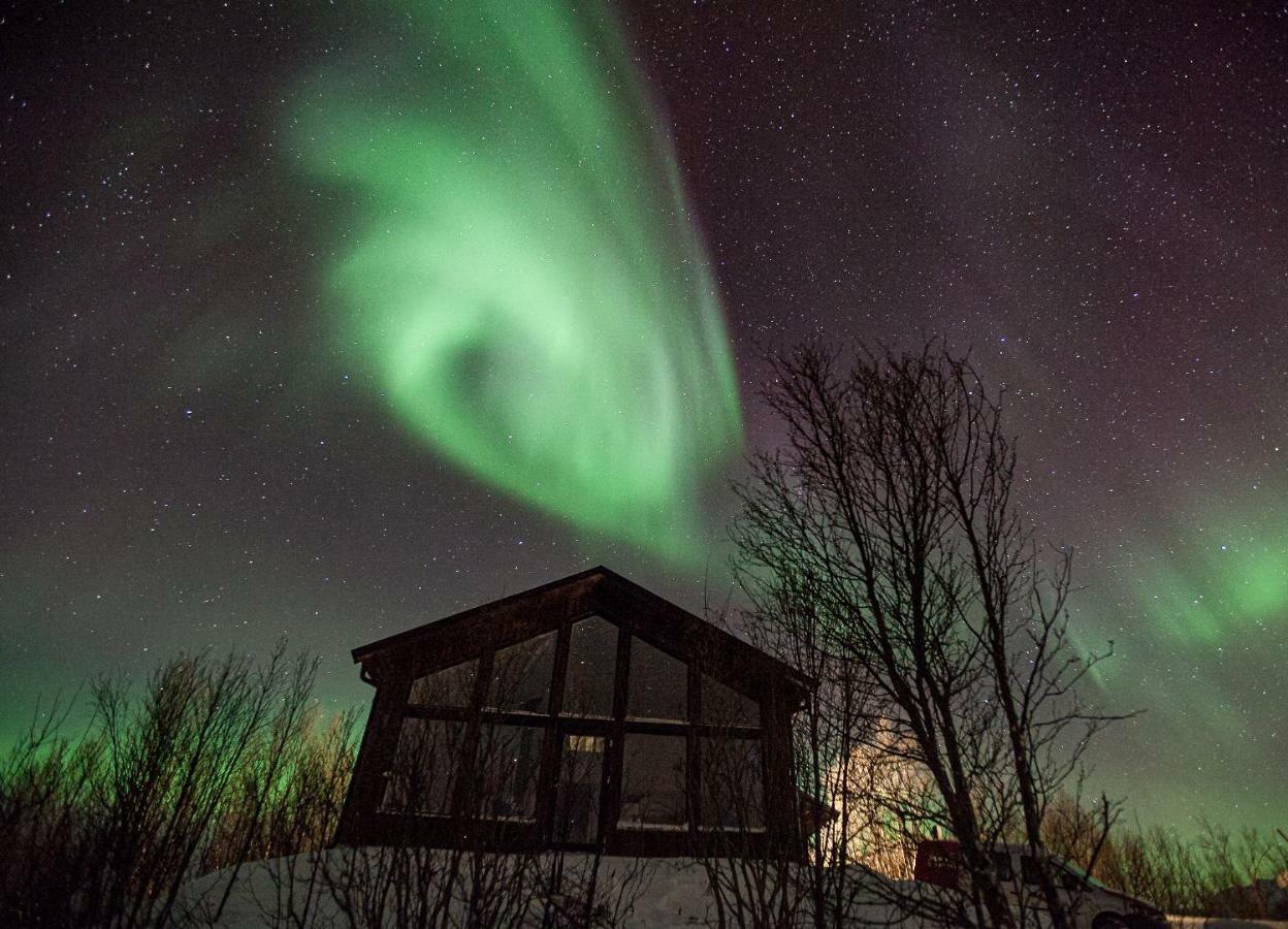 Aurora View Cabin Lyngseidet المظهر الخارجي الصورة